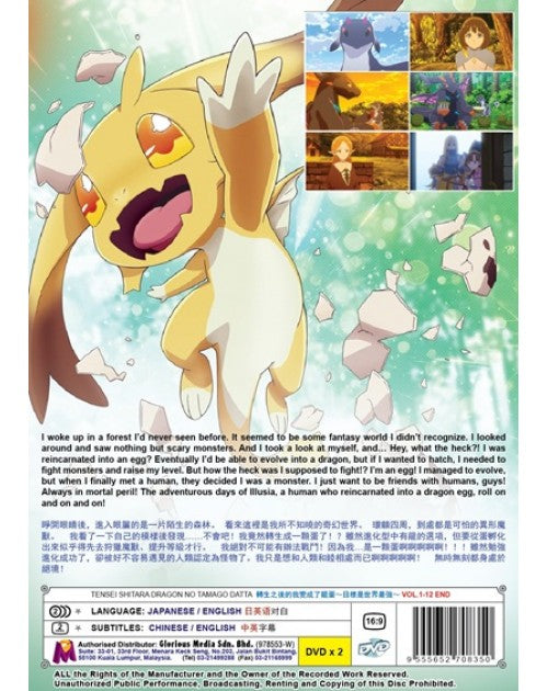 Tensei Shitara Dragon no Tamago Datta (VOL.1 - 12 End) ~ English Dubbed ~ DVD