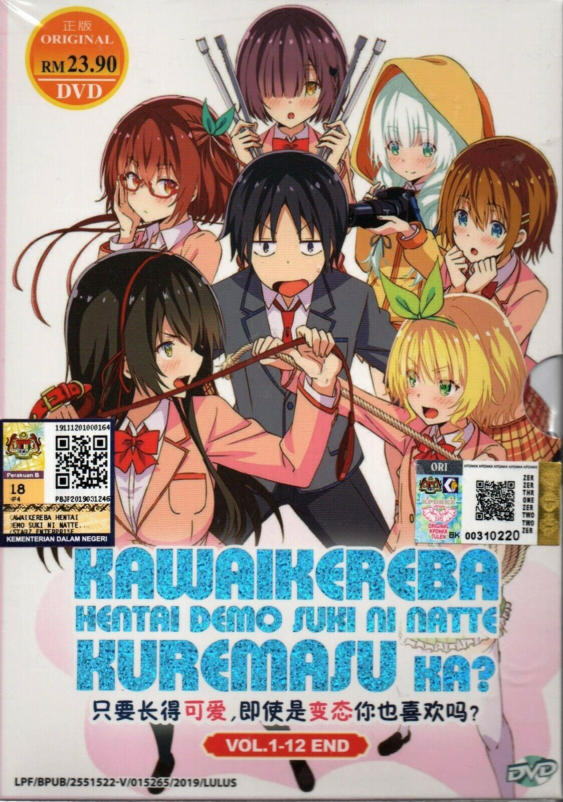 Kawaikereba Hentai Demo Suki No Natte Kuremasu Ka? 12Eps Eng Dub Ship From USA