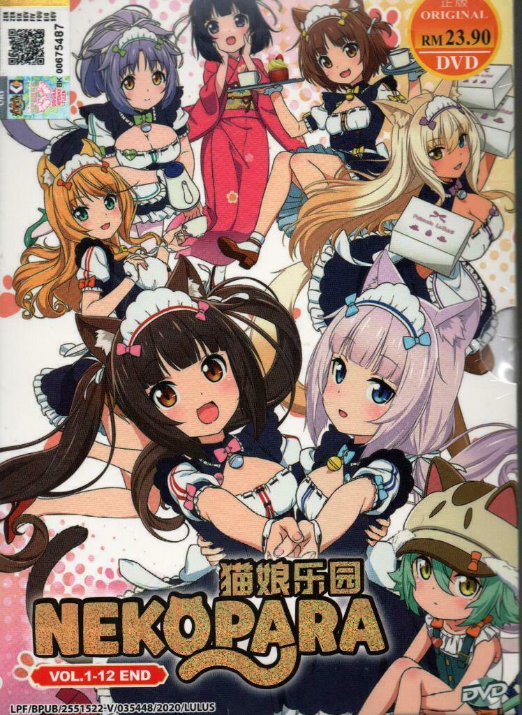 Nekopara 1-12End English Dubbed & All region DVD Ship From USA Ship Out From USA