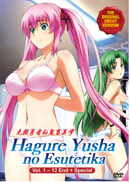 Hagure Yusha No Esutetika Vol.1-12 End + Special Ship From USA