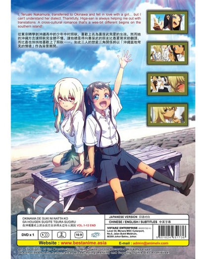 OKINAWA DE SUKI NI NATTA KO GA HOUGEN SUGITE TSURA SUGIRU VOL.1-12 END