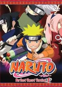 Naruto Perfect Uncut Part 1 (3 discs)