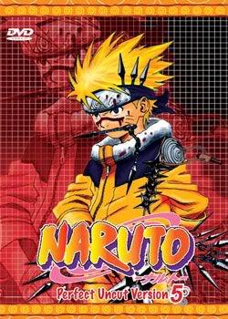 Naruto Perfect Uncut Part 5 (3 discs)