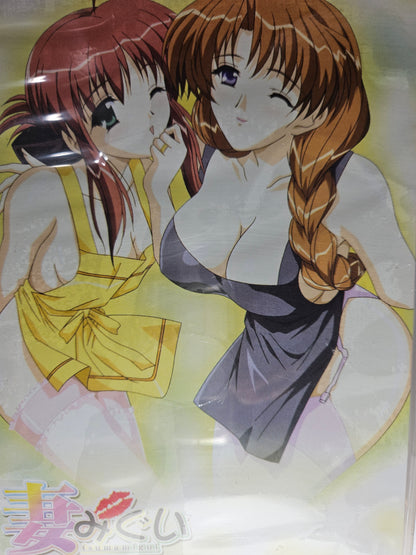 Wife Anime DVD English Subtitles