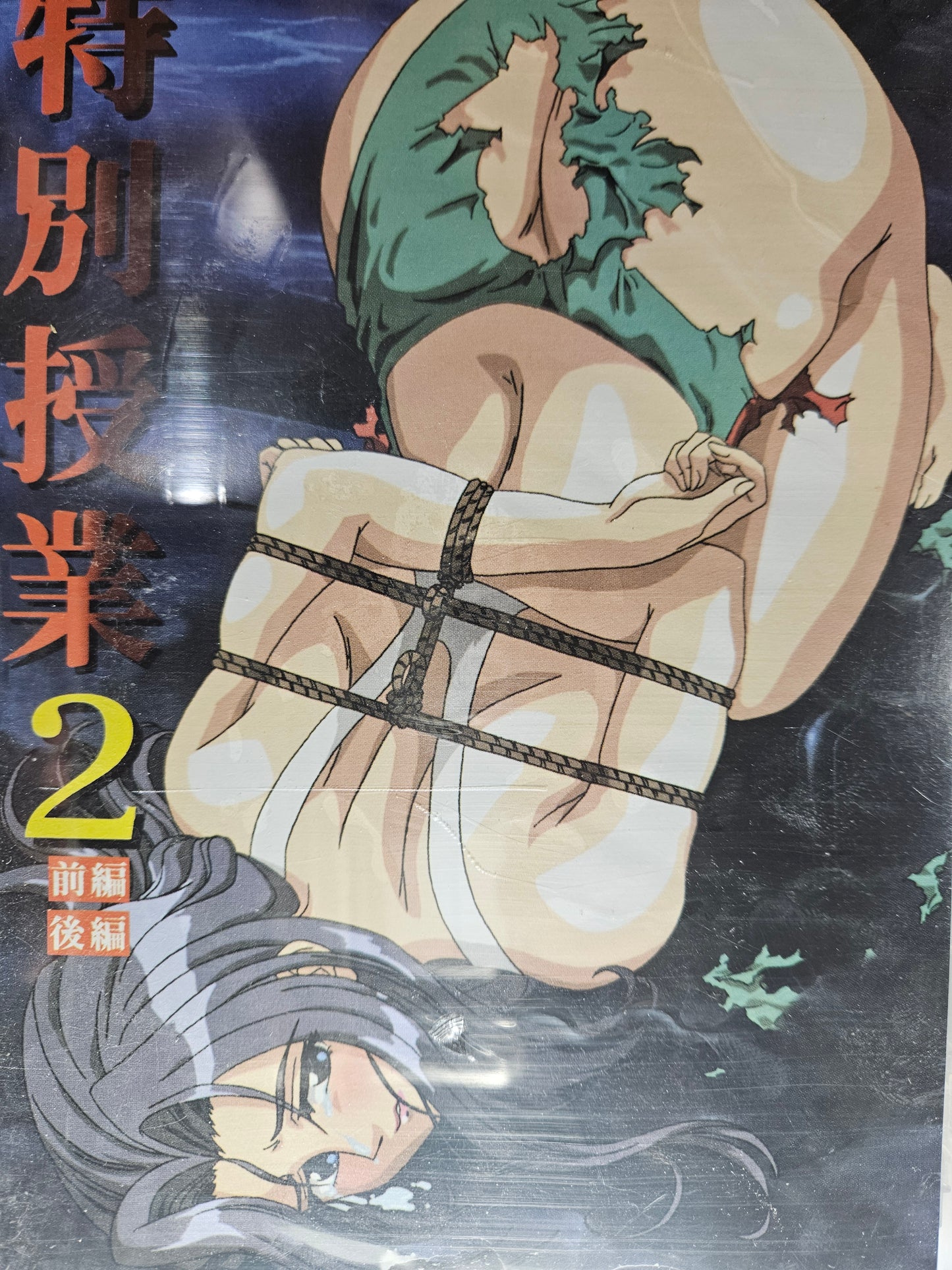 Special Lesson 2 Anime DVD English Subtitles