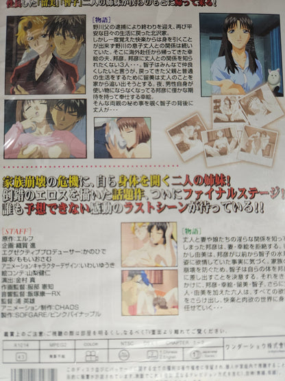 Love Sister 2 Anime DVD English Subtitles